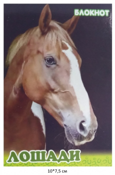Блокнот Лошади 10х7,5 см №4 зеленый 16 стр. Блокнот Лошади 10х7,5 см №4 зеленый 16 стр.