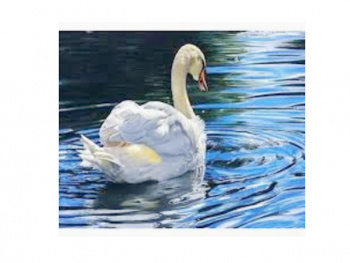 Картина по номерам арт. RA73595 Лебедь 40*50 в кор.