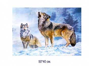 Алмазная мозаика арт. MD5114 Волки 40*50 полная выкладка на подрамнике