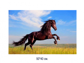 Алмазная мозаика арт. MD5105 Лошадь 40*50 полная выкладка на подрамнике